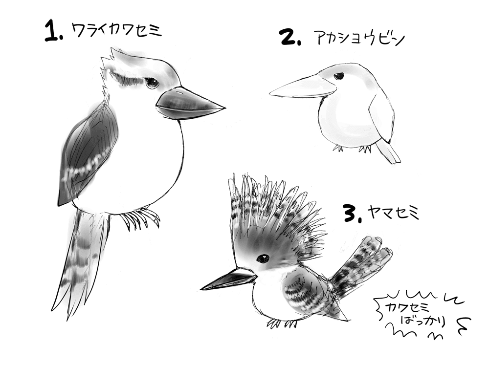 かわせみのイラスト