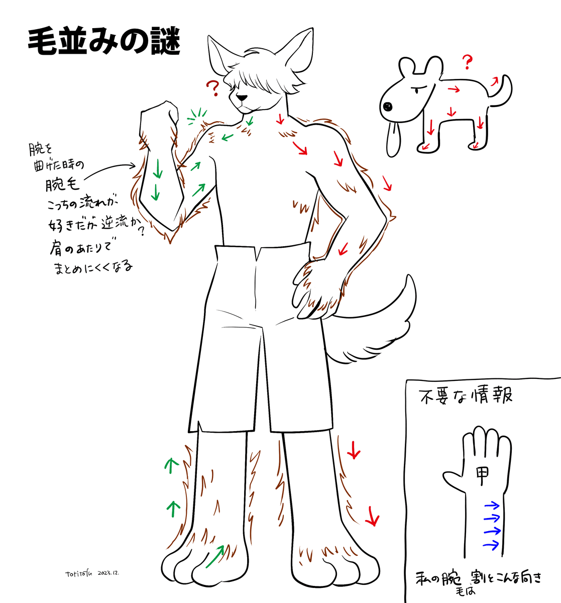 獣人の体毛の流れを考察するイラスト