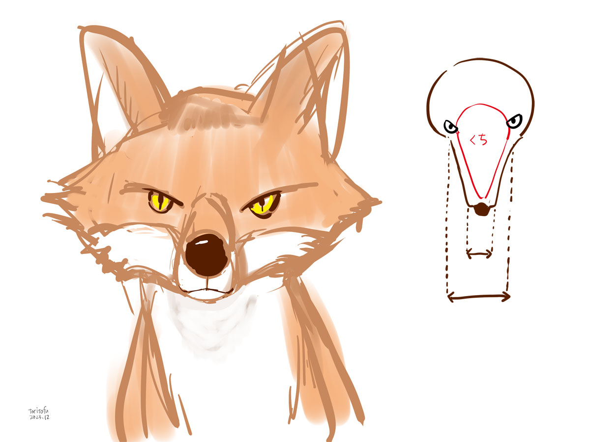 狐の正面顔の描き方を考察するイラスト1