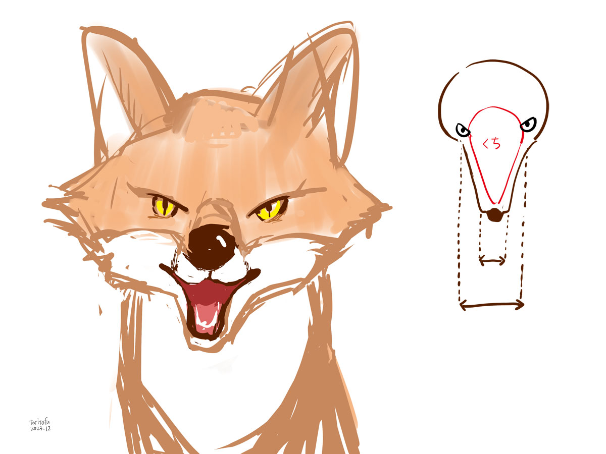 狐の正面顔の描き方を考察するイラスト2