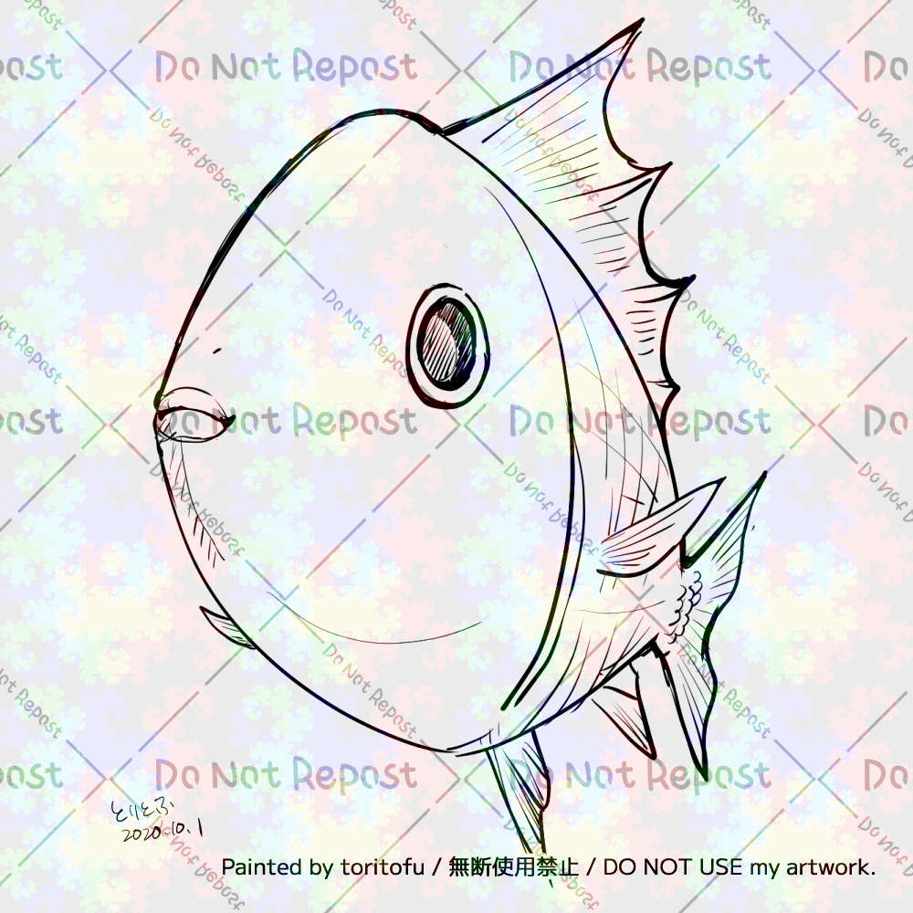 01-fish-s-k.jpg