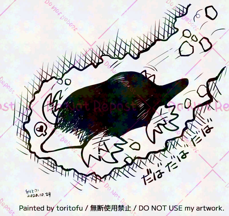 24-dig-02-w800-g01-k.jpg